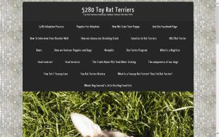 5280 Toy Rat Terriers