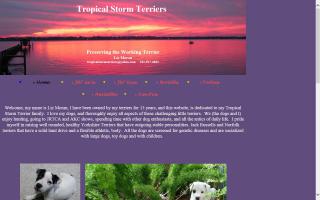 Tropical Storm Terriers