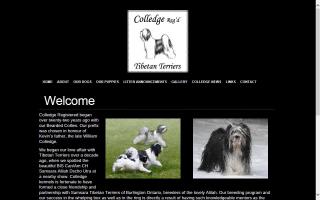 Colledge Bearded Collies & Tibetan Terriers