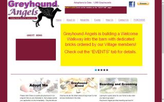 Greyhound Angels Adoption