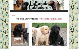 LaBrook Labrador Retrievers