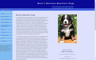 SwissRidge Bernese Mountain Dogs