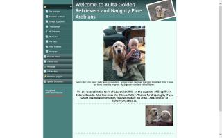 Kulta Golden Retrievers