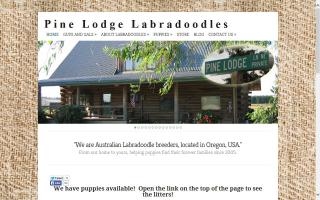 Pine Lodge F1 Labradoodles