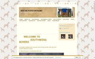 South Wind Boxers