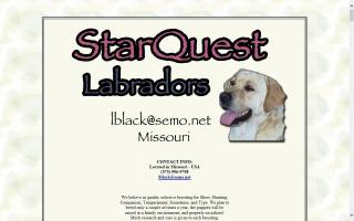 StarQuest Labradors