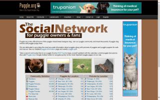 Puggle.org DONE