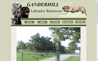 Ganderhill Labrador Retrievers