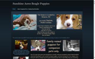 Sunshine Acres Beagles