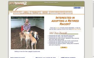 Greyhound Rescue & Rehab - GRR