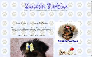 Seaside Yorkies