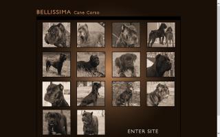 Bellissima Cane Corso