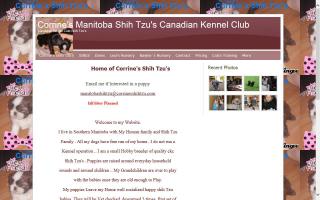 Corrine's Canadian Kennel Club Shih Tzus