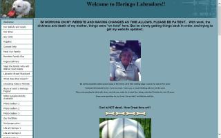 Heringo Labradors