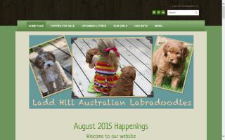 Ladd Hill Labradoodles