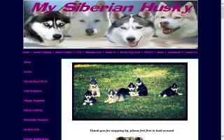 My Siberian Husky