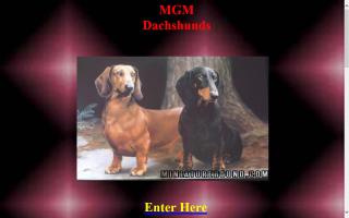 mgm dachshunds