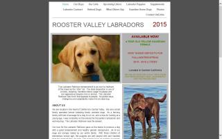 Rooster Valley Labradors & Labradoodles