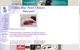 China Blue Pearl Chinese Shar-peis