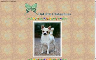 Dulittle Chihuahuas