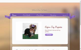 Cajun Toy Puppies