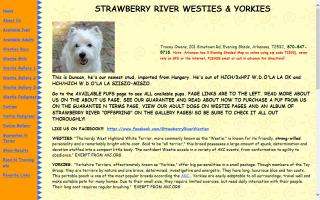 strawberry river westies