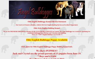 Angel Bulldogges