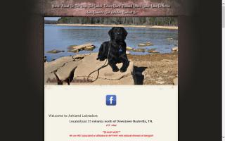 Ashland Labradors