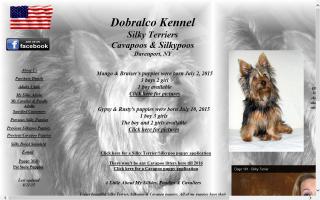 Dobralco Silky Terriers