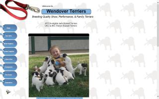 Wendover Terriers