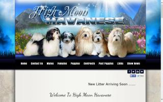 High Moon Havanese