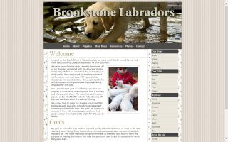 Brookstone Labs, Inc.