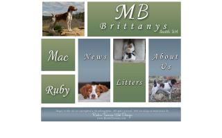 MB Brittanys