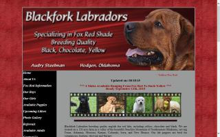 Blackfork Labradors