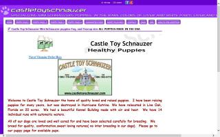 Castle Toy Schnauzer