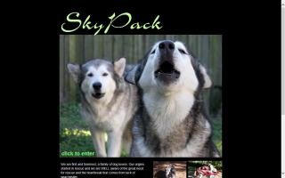 SkyPack Malamutes