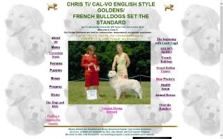 CHRIS Ti English Golden Retrievers