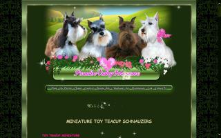 Paradise Valley Miniature Schnauzers