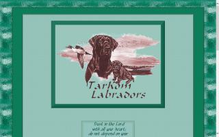 TarKom Labradors