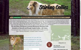 StirlingCollies