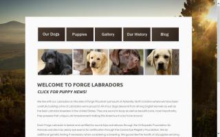 Forge Labrador Retrievers
