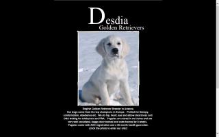 Desdia Golden Retrievers and Coton De Tulears