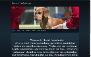 Eternal Dachshunds