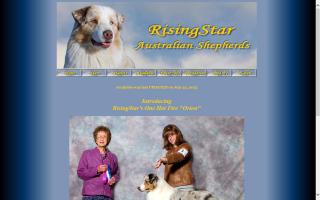 RisingStar Australian Shepherds