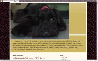 Schnauzers of Taylor