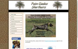 Palm Glades Shorthairs