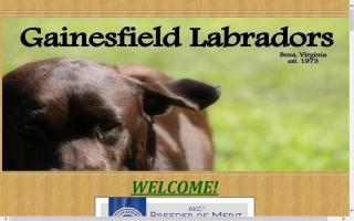 Gainesfield Labradors