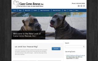 Cane Corso Rescue Committee