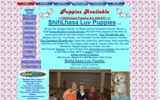 ShihLhasa Luv Puppies