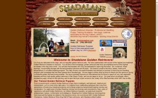 Shadalane Golden Retrievers